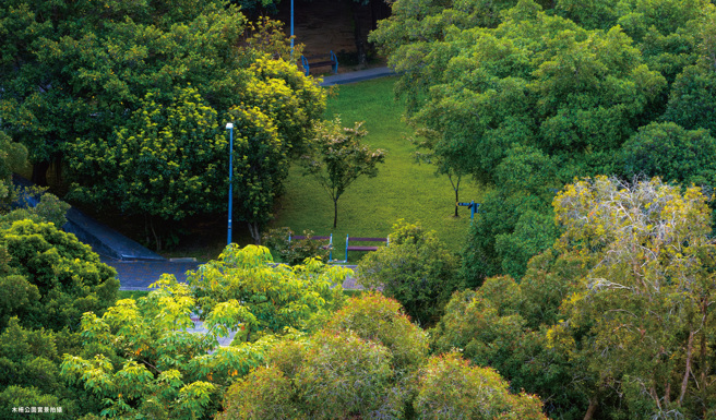 木栅公园。（图／元立四季庄园官网）