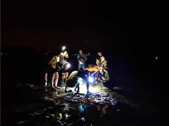 墾丁萬里桐生態之旅將結合公民科學調查，讓生態之旅不僅是被動聽解說，更能主動參與。（蛙趣自然生態提供／羅琦文屏東傳真）