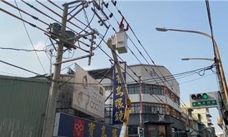 高雄林園大量燕子摔地遭輾斃 電線塗「1物」恐成死亡陷阱