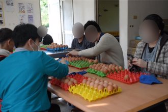 助身障者學職能！花蓮黎明方舟畜牧場盼認購 1.2萬顆雞蛋待銷