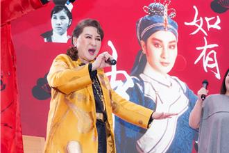 楊麗花龍袍上身霸氣登場 91歲奶奶從輪椅上站起來