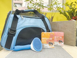 淡水天元宮賞櫻 還可認養毛寶貝