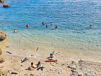 屏東 護萬里桐海域生態 社區助巡守