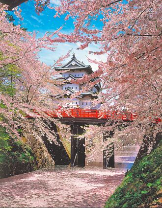 日本賞櫻免3萬 釜山詢問度高