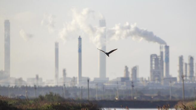 受惠鞋材、醫療、汽車需求強勁，加上電子、軍工等利基新單布局報喜告捷，塑化加工專業利基廠三芳（1307）、八貫（1342）、鼎基（6585）今年營運添利。圖／本報資料照片