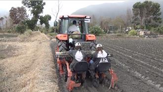 揮別寒冬彎腰種植的辛勞！花改場「芋苗種植機」效率提升23％
