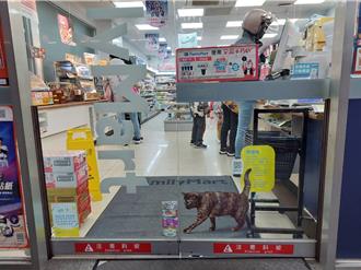 超商門市成「浪貓伸展台」？貓之日貼紙助浪浪找家