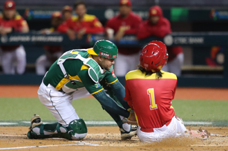 WBCQ》南非墊底出局 中華隊確定保住附加賽