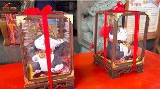 台東福興宮爆「偷貓事件」 窮夫妻求結緣竟走歪道