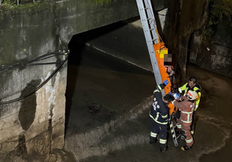 新莊失蹤婦意外掉落大排 警消聯手即刻救援送醫