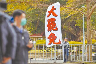 大罷免的非理法權天