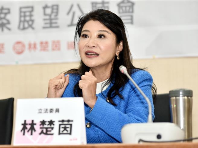 民进党立委林楚茵。（本报资料照片）