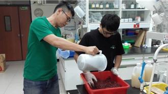 農業新趨勢！微生物肥料助攻永續生產 作物增產又環保