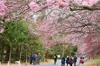 228連假全台訂房率不到5成 僅1地暴滿