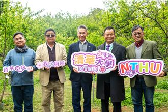 清大梅園60年老梅樹罹「日燒病」 校友捐助找專家搶救