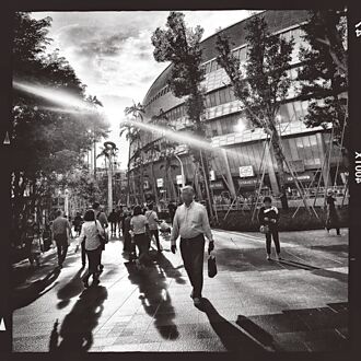 忠孝東路臺北大巨蛋