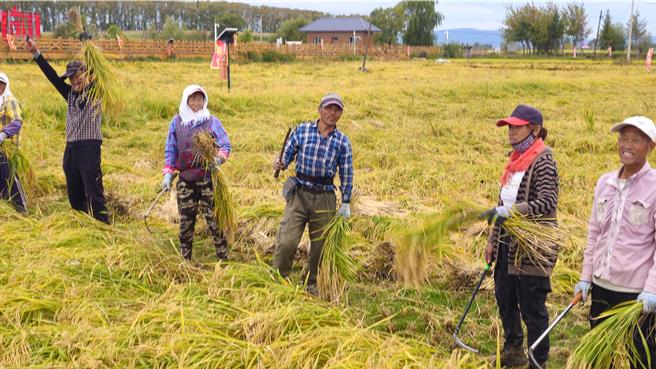 大陆中央一号文件深读：首提农业新质生产力，农村土地制度改革再深化。（蓝孝威摄）
