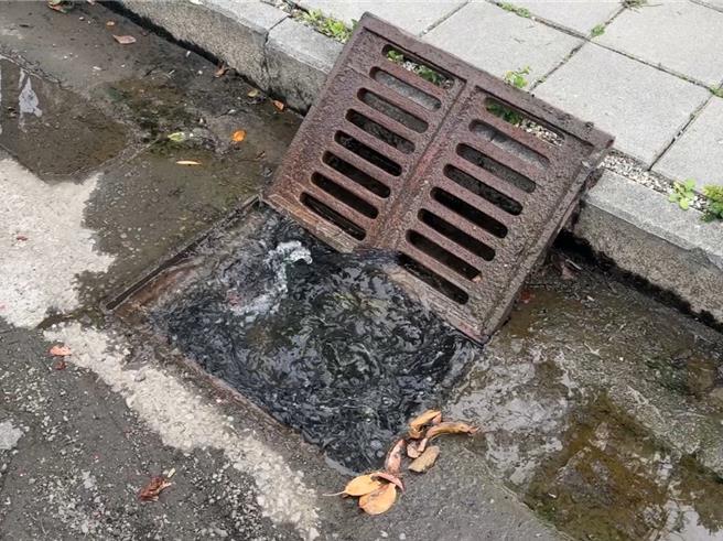 台中市乌日区大同八街一带排水沟渠，近日即便没有下雨，仍如涌泉一般不断有水溢出，不仅导致路面溼答答，下雨时则会积大水，居民叫苦，台中市议员吴琼华24日邀集相关单位会勘。（潘虹恩摄）