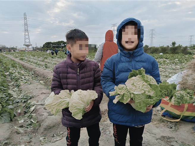 家住台中的双胞胎兄弟檔跟着家人到溪州农田摘菜，开心展示自己採的包心大白菜。（叶静美摄）