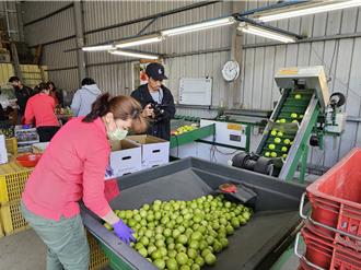 日本瘋台味！高雄蜜棗、有機果醬躍上東京電視購物熱銷榜