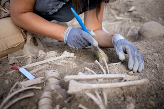 战国古墓主人头颅神秘消失 专家研究揭真相