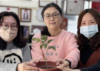 台中市贈苗活動 700株樹苗3／5免費領