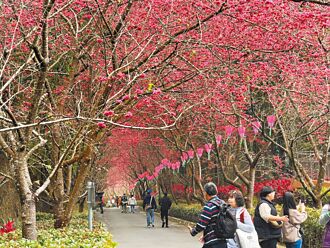 憂觀光倒閉潮 許淑華盼中央出手