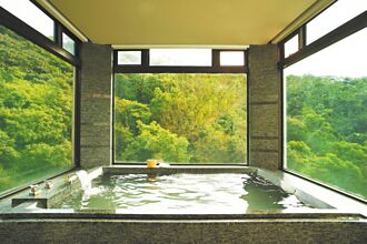 饭店周庆抢春游商机