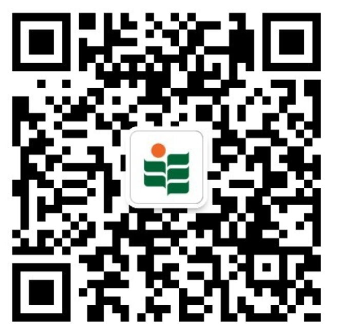香港教育大学微信公众号。(照片/香港教育大学提供)