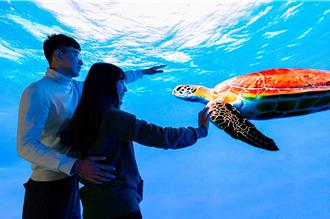 全台首創！海生館沉浸式弧形LED攝影棚 帶你探索神祕海洋