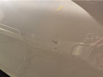 愛車遭刮！他守株待兔竟真等到「刮車賊」怒報警