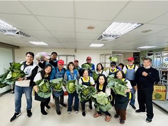 高麗菜崩盤！議員號召搶救農民心血 2000顆送暖社福團體