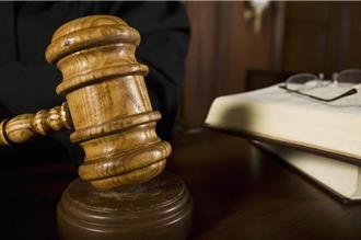 永和堤外便道虎斑狗窜出害女骑士摔车身亡    饲主判赔237万