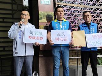 受USAID資助134萬9600美元    新黨告發綠委沈伯洋涉國安法