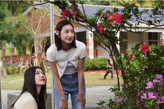 萬金杜鵑獲5大國際獎項！27日開展 賞花攻略搶先看