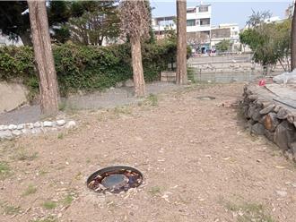 台灣龜生態園區被批「地獄」 區公所、廟方澄清：並非事實