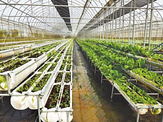 神匠創意AI感測 科技農業再進化