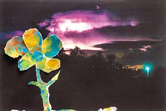 我如閃亦如電的鄉愁