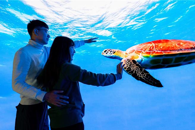 民眾在海生馆沉浸式体验与海龟悠游。（教育部提供／林志成北传真）