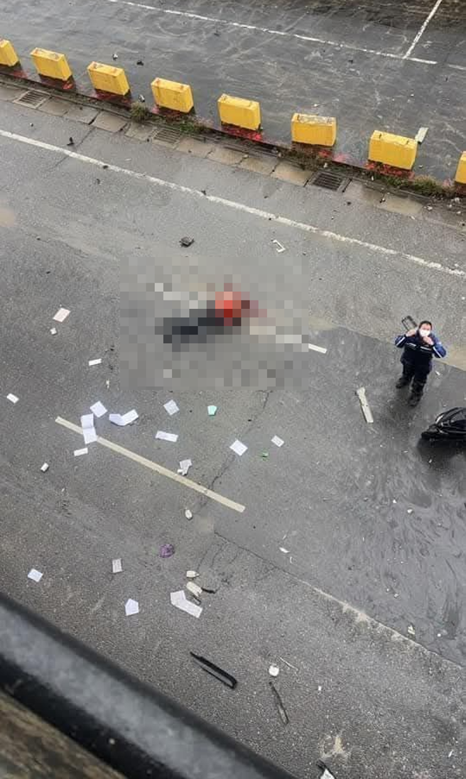 货柜车驾驶坠高架桥下惨死。（民眾提供）