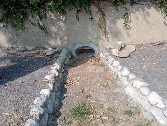 台湾龟生态园区遭批「乌龟地狱，台南下营区公所偕上帝庙26日开记者会澄清，并展示园区景观。（下营区公所提供／张毓翎台南传真）