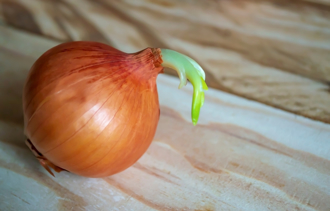 洋蔥、花生發芽有毒嗎？根莖類發芽能不能吃 1圖秒懂
