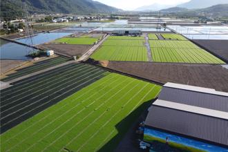 全國耕地面積3.47％為有機 農業部推新方案助永續農業發展