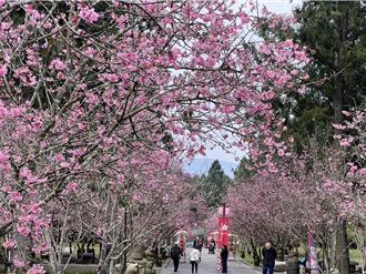 樂園搶攻連假商機 特色活動登場 票價下殺47折