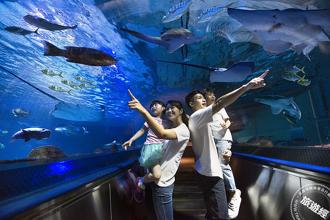 228連假出遊優惠！最低0元入園 全台主題樂園祭好康