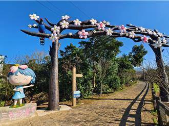 新北三芝櫻花季3月登場 賞櫻健行、拔蘿蔔一次滿足