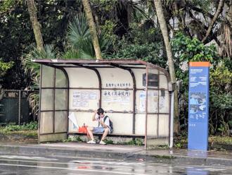 檢舉造成臨停不便？綠議員「取消公車站牌」引熱議