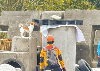 花蓮 2搜救犬獲高級認證 另1隻重考
