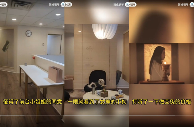 网友进门瞧见王祖贤爱犬。（图／翻摄自小红书）