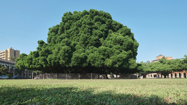 成功⼤学位居正市中⼼，绿意⽣活、繁华机能为台南仕绅居住⾸选。(图/新联阳机构提供)
